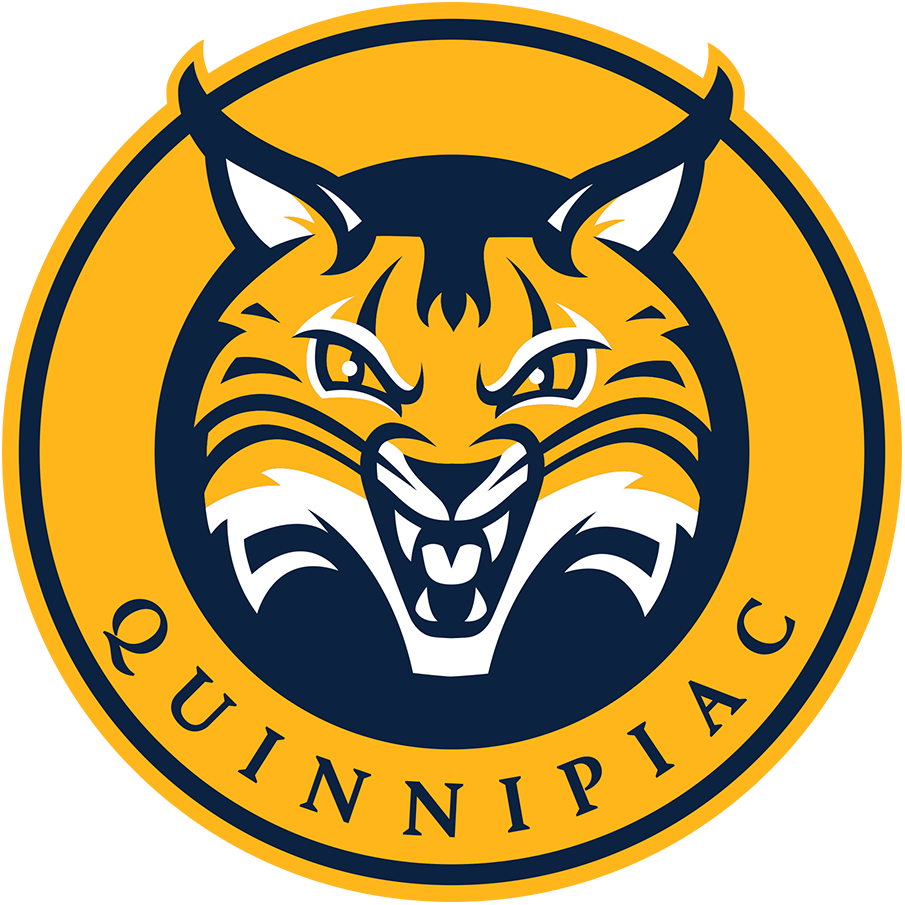 Quinnipiac Bobcats 2019-Pres Primary Logo DIY iron on transfer (heat transfer)
